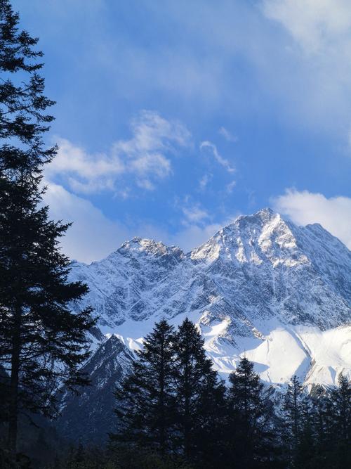 泛目录站群原理 培训